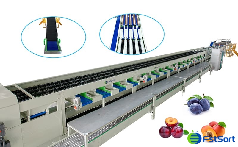 images/1693381433148plum processing machine.jpg